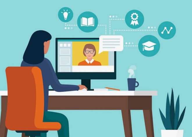 Актуальные темы курсов — маркетинг, дизайн или IT?